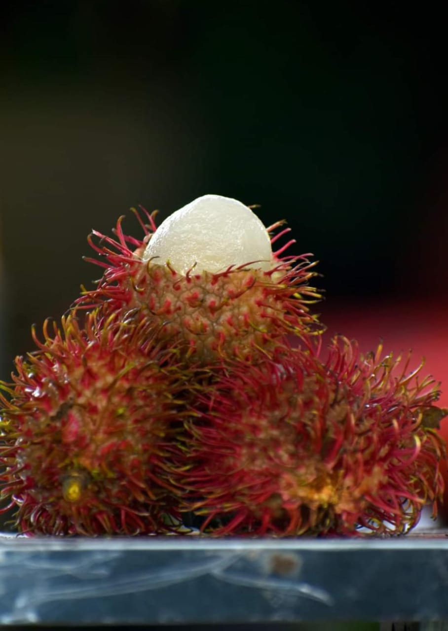 Rambutan Caesar Bud