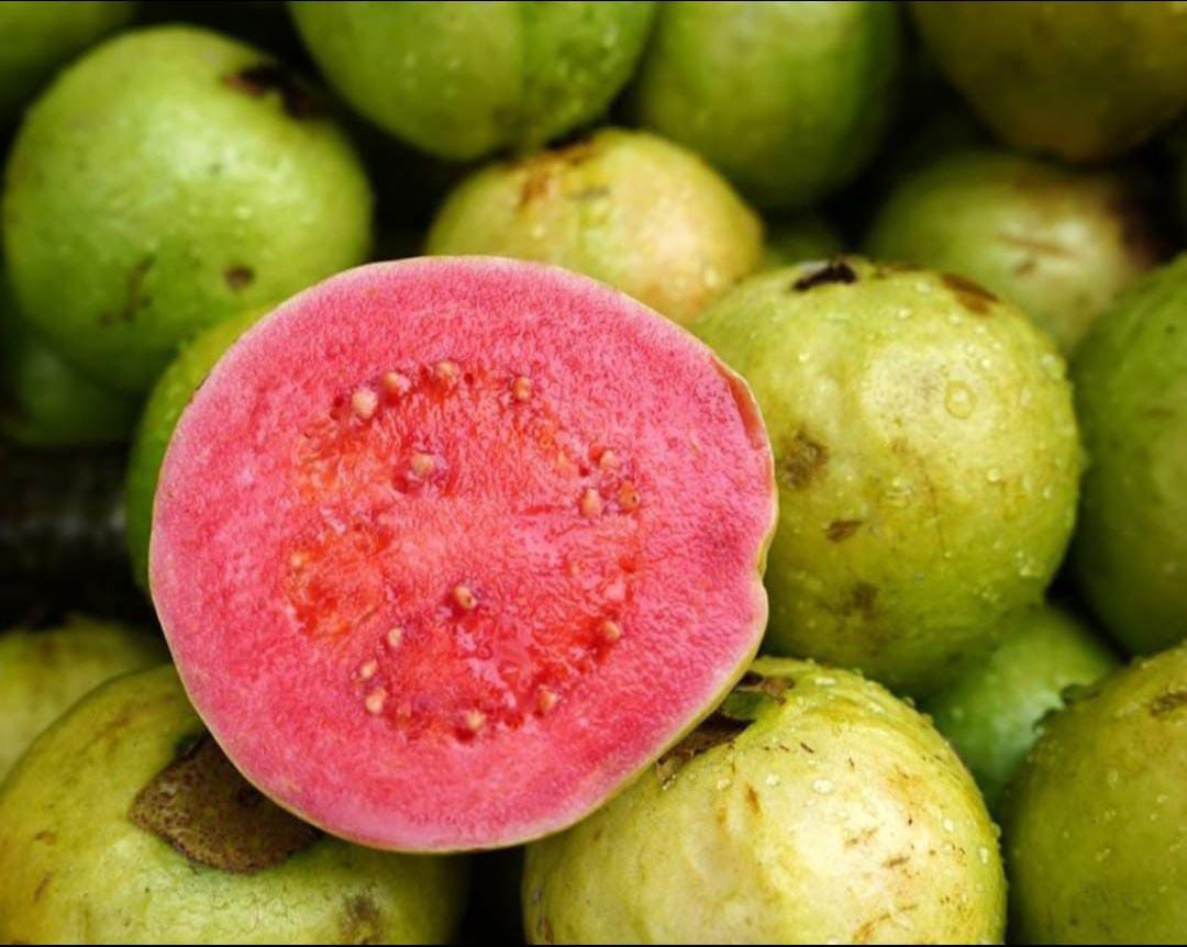 Guava Thai Pink Layer