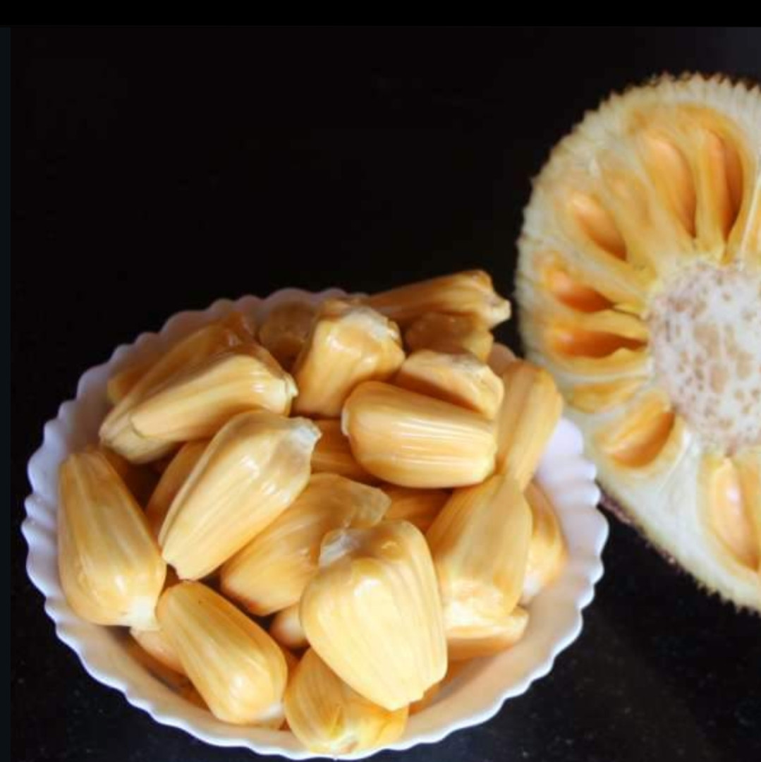 Jack Cambodian orange Bud