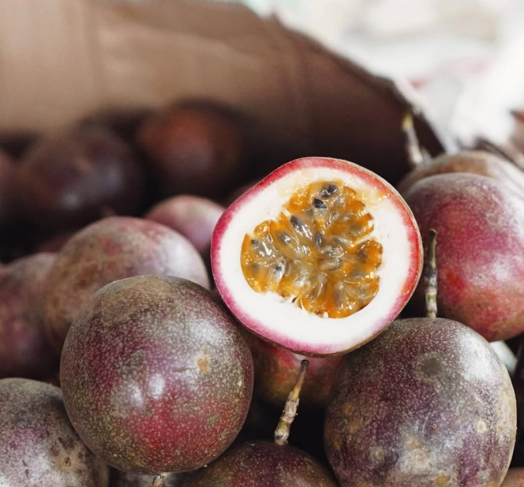 Passion fruit purple seedling