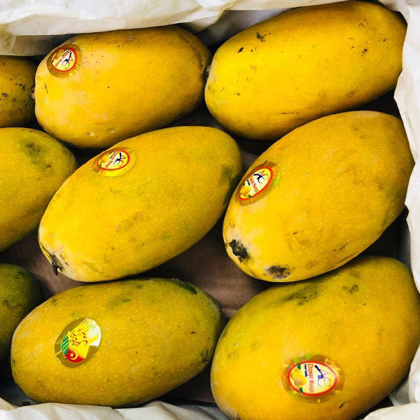 Mango Pakistan Chaunsa